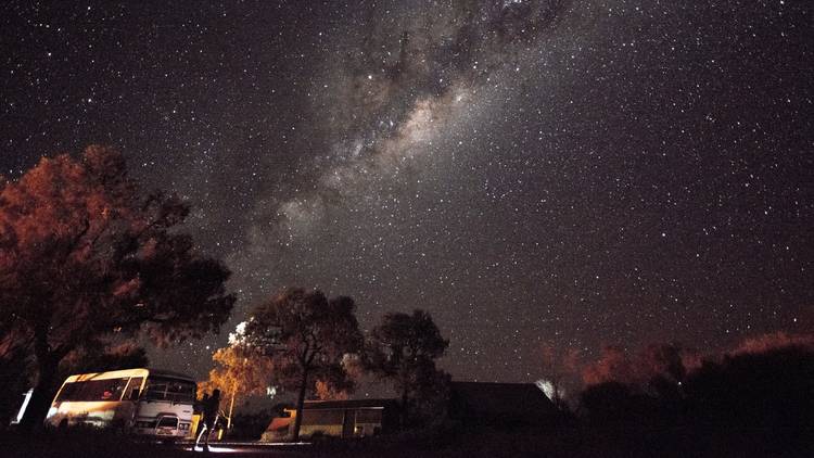 A mini bus parked under some gum trees with a starry night overhead