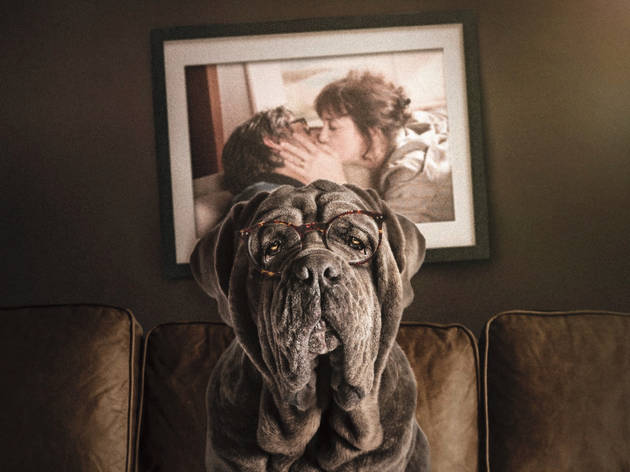 Mi perro estúpido Mi perro estúpido, película de el Tour de Cine Francés