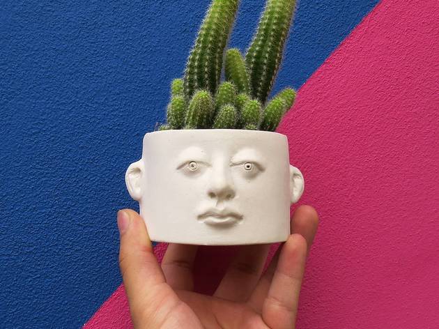 Haeadplanter Haeadplanter