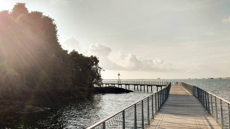 Pedal around Pulau Ubin 