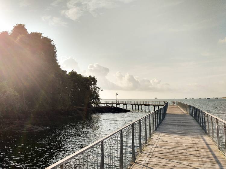 Pedal around Pulau Ubin 