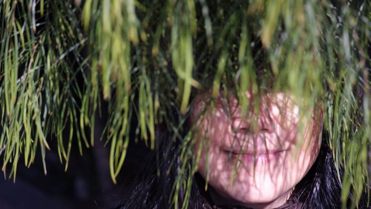 A smiling person's face, obscured by pine needles drooping over them