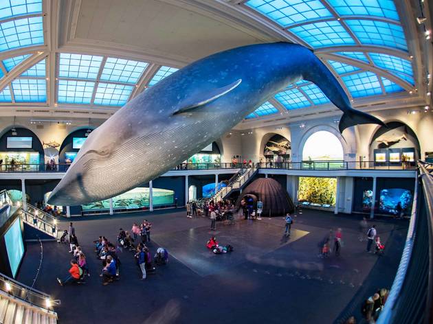 The Museum of Natural History has a reopening date The Museum of Natural History has a reopening date