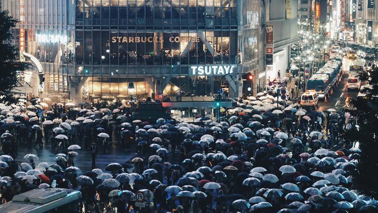 Rainy day at Shibuya Crossing