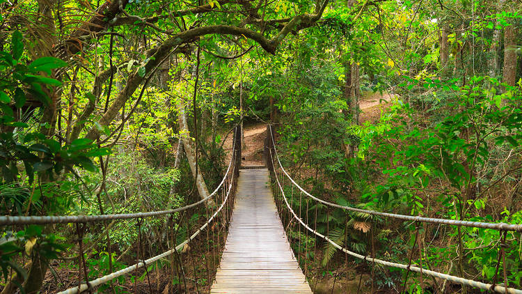 Khao Yai National Park