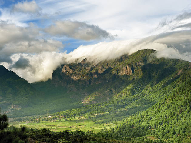 La Palma, Santa Cruz de Tenerife, Canàries. La Palma, Santa Cruz de Tenerife, Canàries.