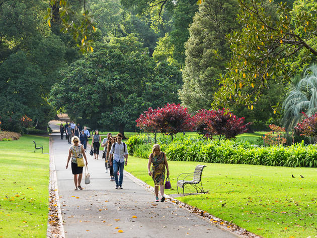 People walking along the Royal Botanic Gardens pathway in Melbourne, 2019 People walking along the Royal Botanic Gardens pathway in Melbourne, 2019.