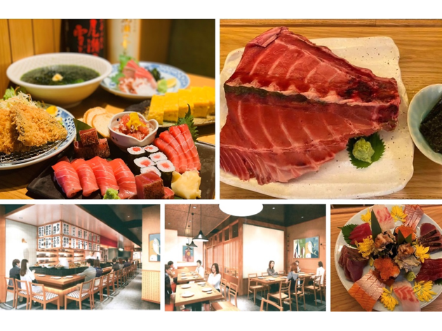 マグロ食堂魚金 マグロ食堂魚金