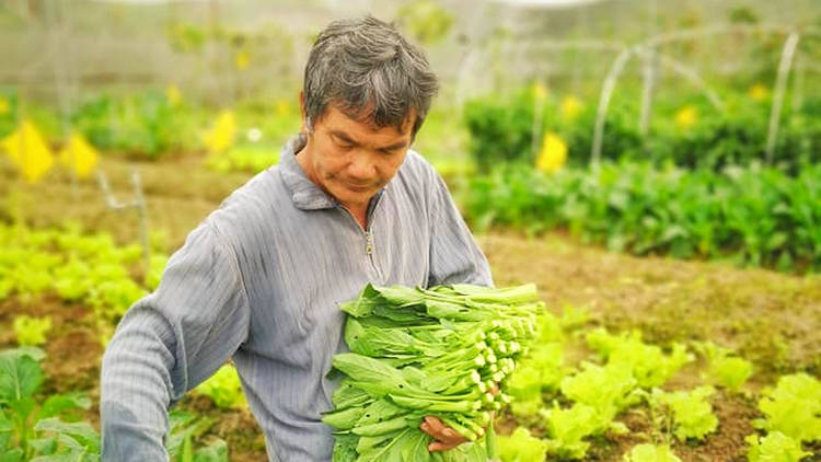 Mapopo Community Farm