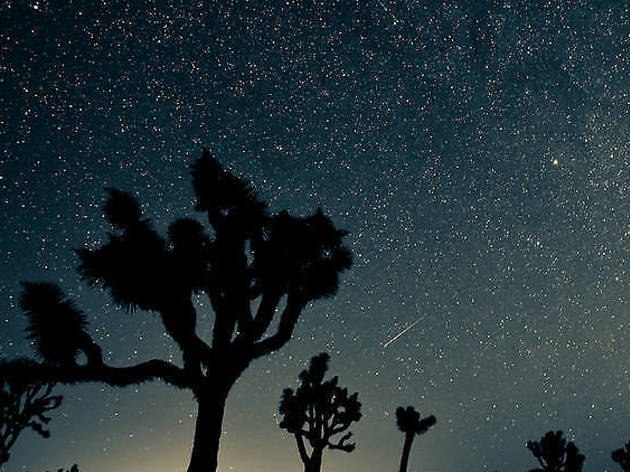 © Shutterstock