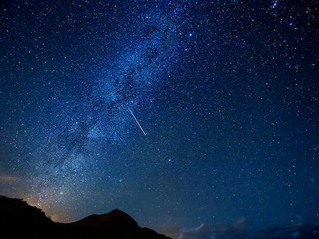 © Shutterstock