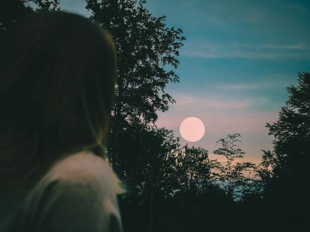 © Emilia Niedźwiedzka / Unsplash.