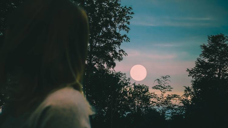 Le 30 novembre : la pleine lune dite "du Castor"