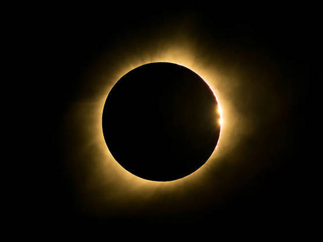 © Shutterstock
