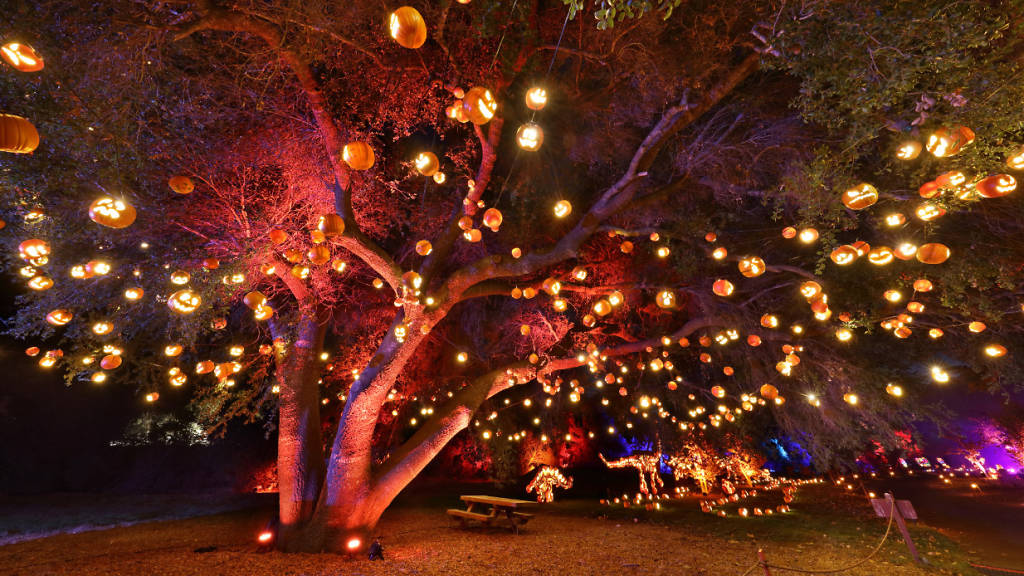 Nights of the Jack is bringing a walkthrough jacko'lantern trail to L.A.