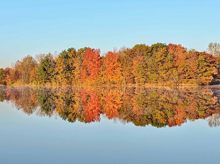 Upper peninsula, MI 