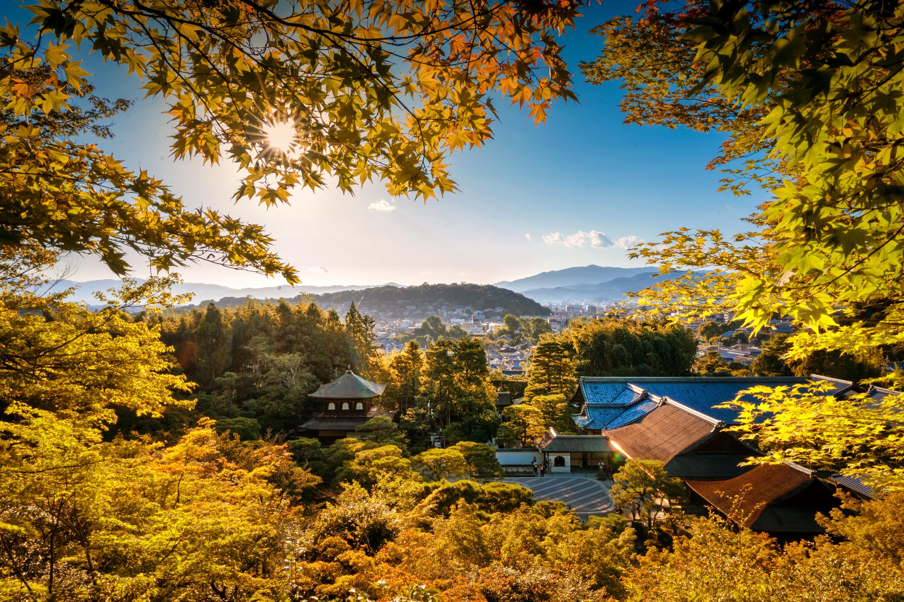 Japan Autumn Leaves Forecast From End September In Hokkaido To December In Tokyo