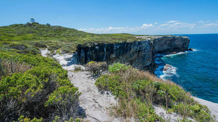 Cape Baily Walking Track and Light House