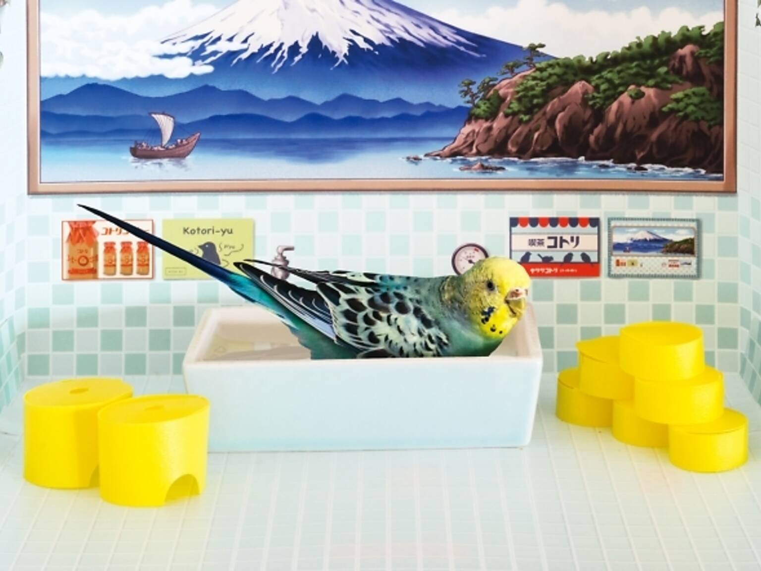 These are the cutest and weirdest Japanese pet products Time Out Tokyo