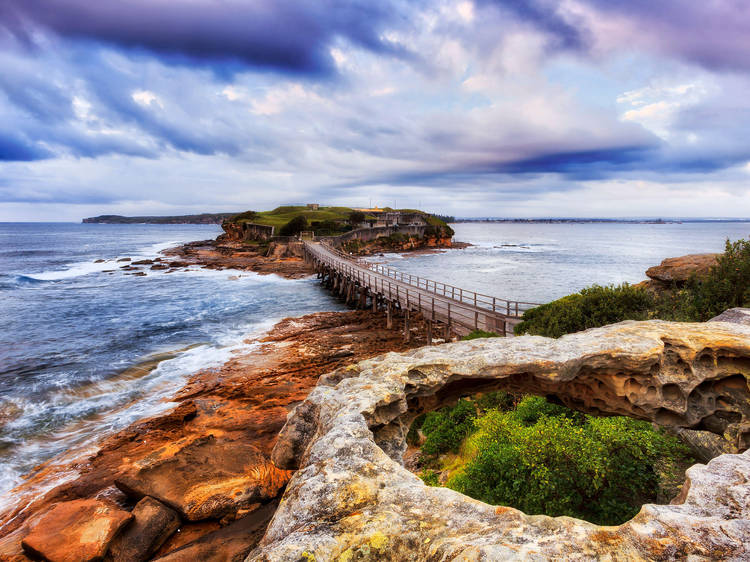 Bare Island to Little Bay