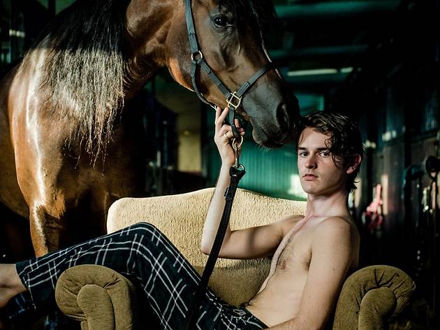 Equus Equus