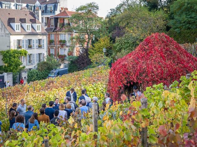 5 évènements gratuits à ne pas manquer pendant la Fête des Vendanges 5 évènements gratuits à ne pas manquer pendant la Fête des Vendanges