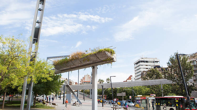 Gràcia