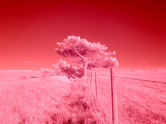 Red Lines with Landscapes: Portugal Red Lines with Landscapes: Portugal