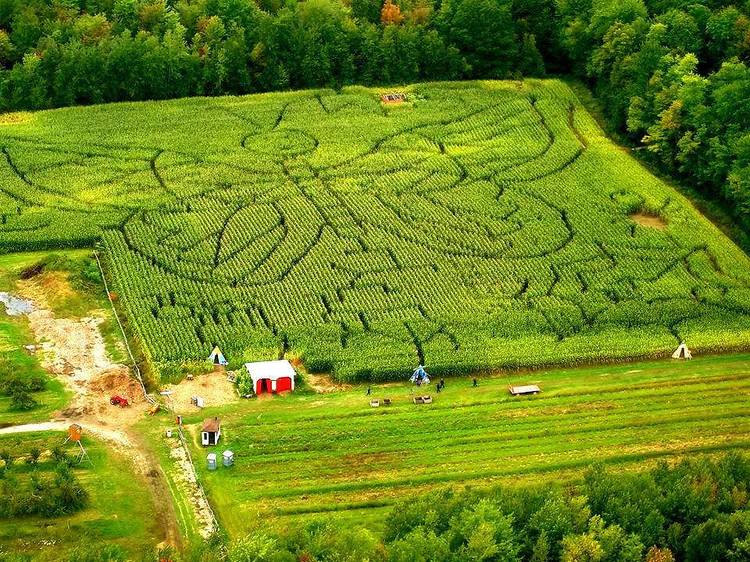 Get lost in the best corn mazes near Montreal Get lost in the best corn mazes near Montreal