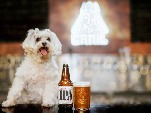 Canil Bar, Canil, Lagunitas, Dogtoberfest