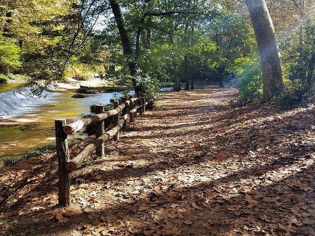 Santa Coloma de Farners, Parc de Sant Salvador, Tardor a Catalunya