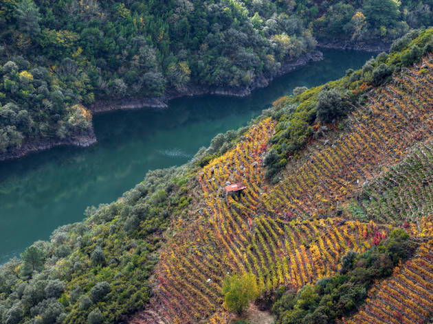 Ribeira Sacra en otoño Riberia Sacra otoño