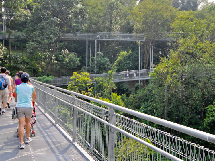 The best kid-friendly hiking trails in Singapore for the family