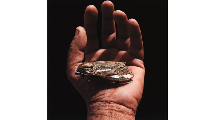 Queer exhibition (Photograph: National Gallery of Victoria)