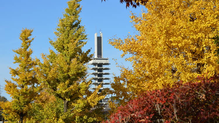 Komazawa Olympic Park