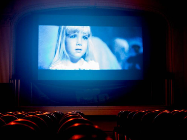 Forbidden Forest Cinema Forbidden Forest
