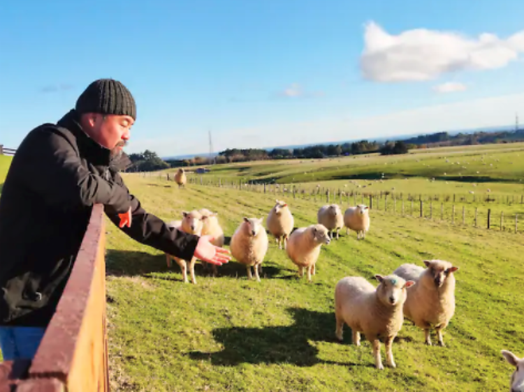 New Zealand nature highlights