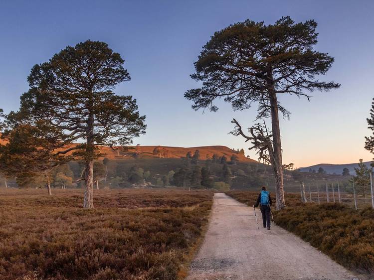 Mar Lodge Estate, Aberdeenshire