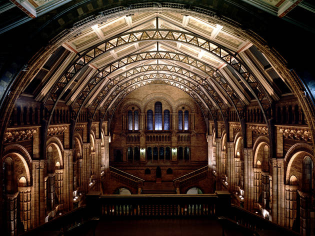 Museum After Dark Natural History Museum
