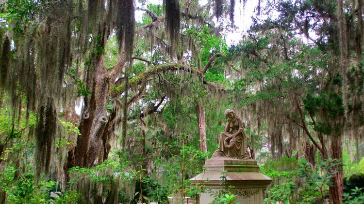 Bonaventure Cemetery | Savannah, GA