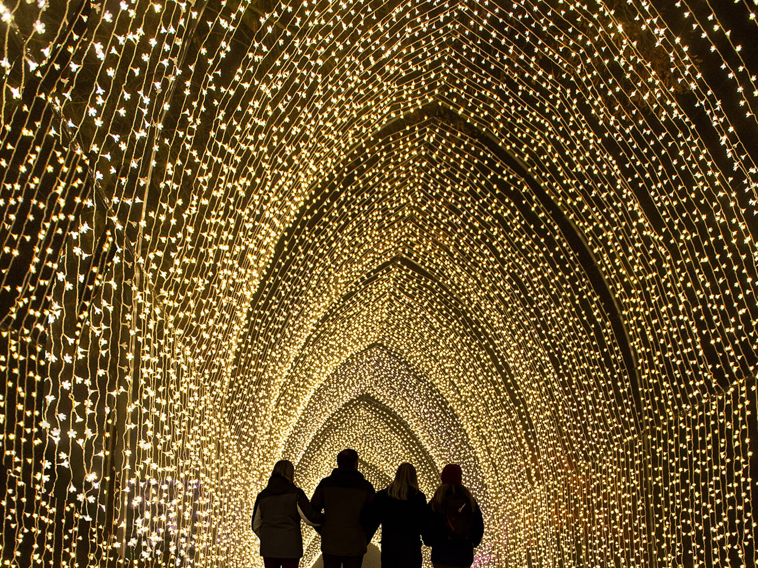 Christmas in Chicago 2024: How to Celebrate the Holidays