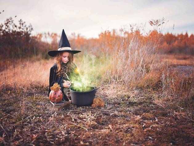 Halloween Halloween