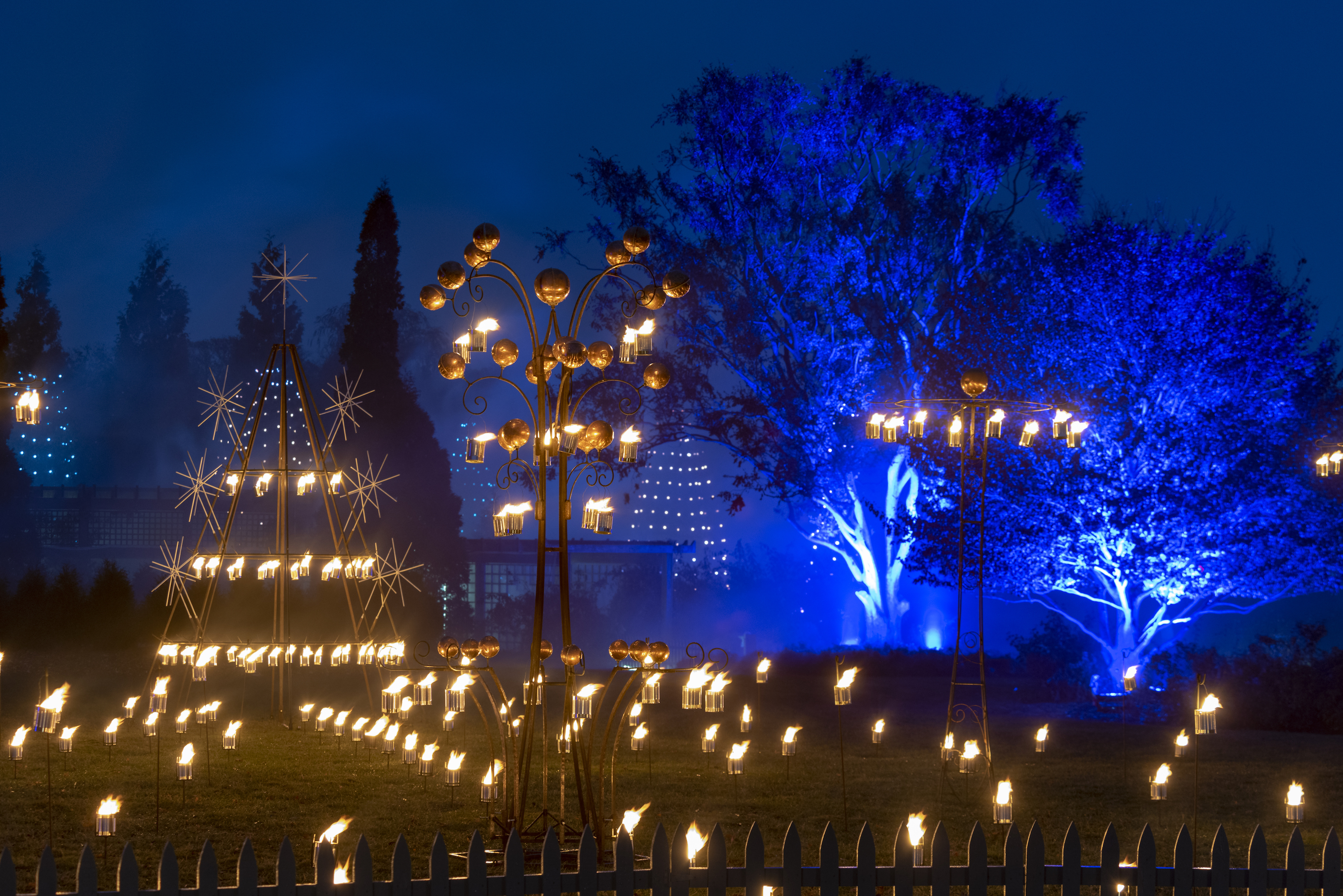 Fire Garden at Lightscape