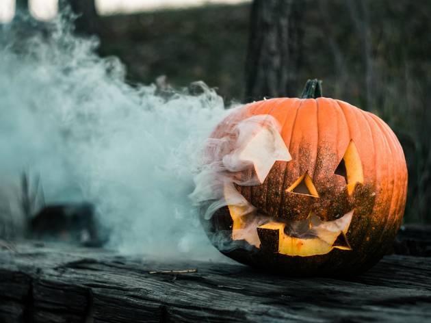 Photo by Colton Sturgeon on Unsplash