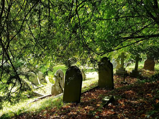 A Tomb with a View: The Stories and Glories of Graveyards Graveyard