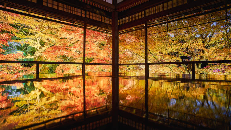 Ruriko-in Temple, Kyoto
