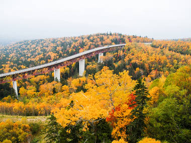 11 most beautiful autumn destinations in Japan for 2024: from Kyoto to ...