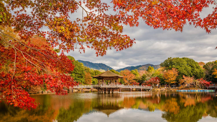 Nara Park, Nara