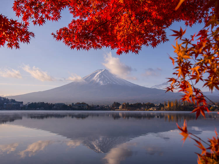 5 best day trips from Tokyo to see autumn leaves