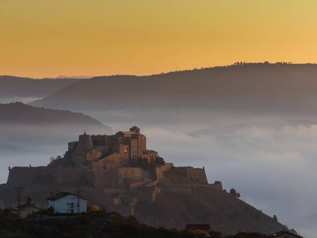 Bages